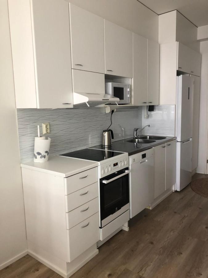 Wonderful Arctic City Apartment ロヴァニエミ エクステリア 写真